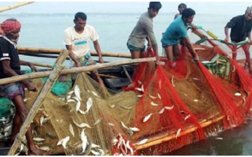 উপকূলে ফের ৮ মাসের জাটকা নিষেধাজ্ঞা, বিপাকে জেলেরা