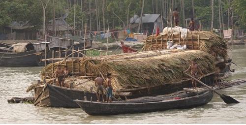 ‎সুন্দরবনে গোলপাতা আহরণ শুরু,নৌকার মাপ নিয়ে বনবিভাগ-বাওয়ালী দ্বন্দ্ব  ‎