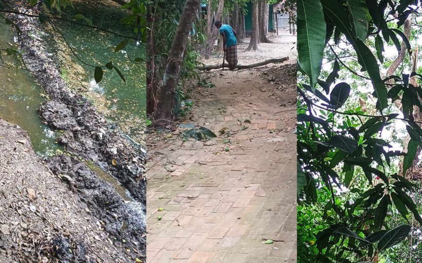 স্থিতাবস্থার আদেশ অমান্য করার অভিযোগে মামলার বাদী আলোচনায়