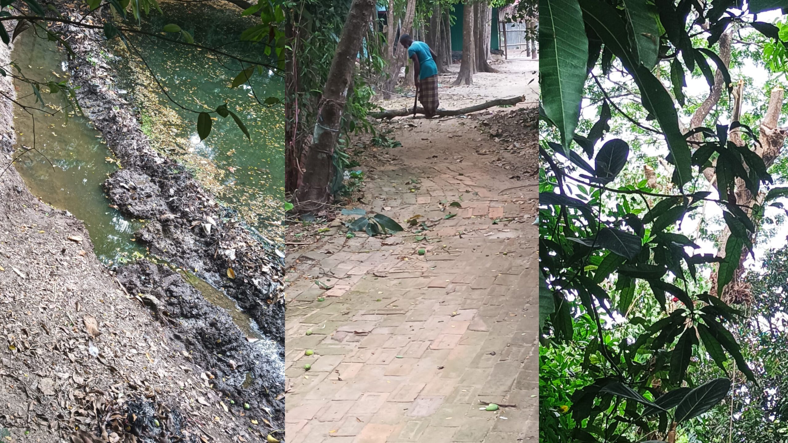 স্থিতাবস্থার আদেশ অমান্য করার অভিযোগে মামলার বাদী আলোচনায়